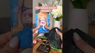 Что тайное станет явным