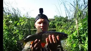 Fishing Chub on a beetle. Bass on live bait. Fishing in the Penza region