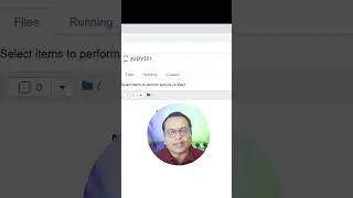 Python | Launch and work with Jupyter Notebook 