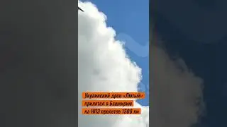 Украинский дрон «Лютый» прилетел в Башкирию на НПЗ