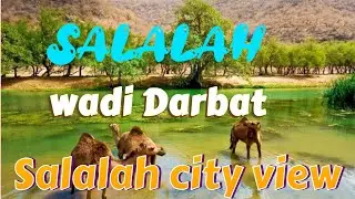 Salalah wadi Darbat waterfalls|| salalah city view|| Tech Parvez BD