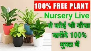 Order Free Plant From Nursery Live upto Rs.200 | Nursery Live से 100% मुफ्त पौधा ख़रीदे