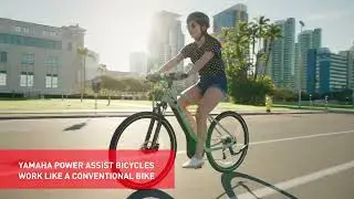 How Does a Power Assist Bicycle Work?