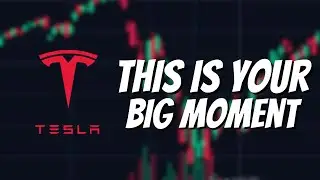 The Next 4 Months Could Make You Rich. (Tesla Stock)