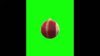 3d Christmas object green screen 2022