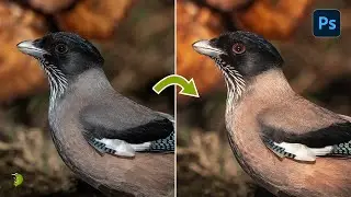 HOW to TRANSFORM your images with very EASY STEPS final