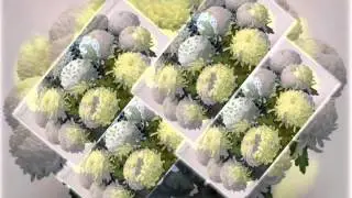 Цветы для Вас
