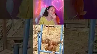 EXTREME Try NOT To Laugh CHALLENGE (bean edition) 