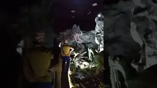 в гостях у динозавров)