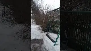 Щебет птиц ,дыхание весны