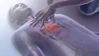 CPR
