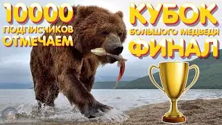 10000 подписчиков ОТМЕЧАЕМ🏆Финал - Кубок большого медведя🎁РОЗЫГРЫШИ🎣Русская рыбалка 4 стрим рр4 #486