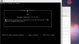 Standard CentOS Install