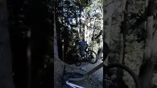 Innsbruck bikepark Chainless One and Straight One lines branch
