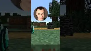 Minecraft Помогло?