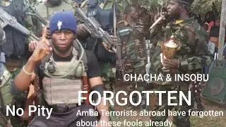 #Ayaba_Cho and His ADF gang branded As a liability to #Amba struggle ( snake bite snake) infighting