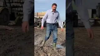 Akcja Buraczek u Romana Wielkopolskiego I Królowie Żyta I Kabaret Malina