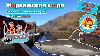 Выезжаем за трофейной акулой • Стрим с Купером и Вероникой • Норвежское Море • Русская Рыбалка 4