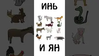 Вот почему крыса стоит первая в китайском гороскопе! 