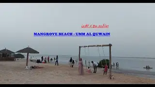 Mangrove Beach Umm Al Quwain | Umm Al Quwain Mangroves | Night Camping Spot | Chakwal to Gulf.
