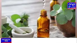 Eucalyptus oil is a simple solution to various problems| Eucalyptus Ka Tail Mukhtalif Masail Ka Aasa