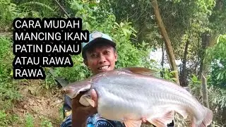 UMPAN TURUN LANGSUNG DI MAKAN IKAN PATIN LIAR_ UMPAN JITU IKAN PATIN. PALING CEPAT DAPAT
