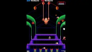 [Former WR] Donkey Kong 3 - Hardest difficulty, 5 lives (no extras) - 674,900