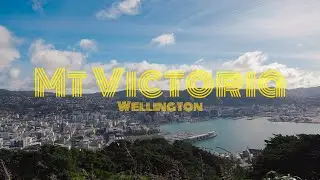 Conquering Mount Victoria | Discovering Wellington's Hidden Gem