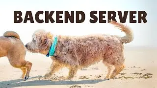 What makes up a backend server ft. HTTP