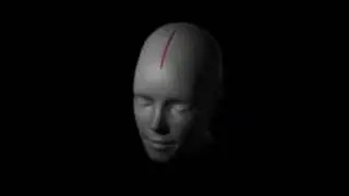 U2  - Original of the Species