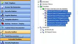 BSP MetaManager   Cleaning up broken shortcuts & report views in Cognos Connection