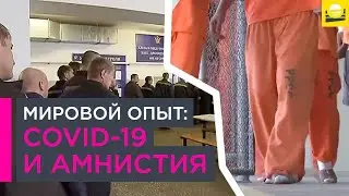 Мировой опыт: COVID-19 и амнистия  | 12+