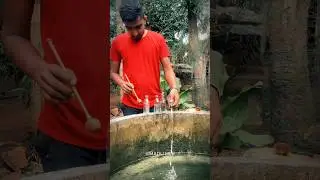 Nature sound and music