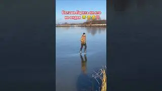 Зимний сезон на льду открыт 2024-2025!!! Гарика не видели😂??? 