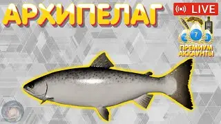 Архипелаг 🔥 Розыгрыш ПРЕМОВ 🔥 Рулетка 🔥 Турниры 🔥 Русская Рыбалка 4 рр4 стрим 
