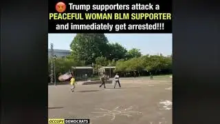 FEMALE PROTESTOR KICKED IN THE HEAD BY TRUMP SUPPORTERS.