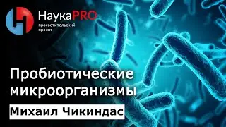 Пробиотики: пробиотические микроорганизмы | Лекции по биологии – биолог Михаил Чикиндас | Научпоп