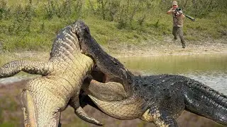 Gators are Taking OVER the Ranch!!! {Catch Clean Cook} Stuffed Gator Tail!