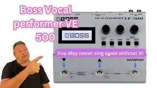 Boss Vocal performer VE 500