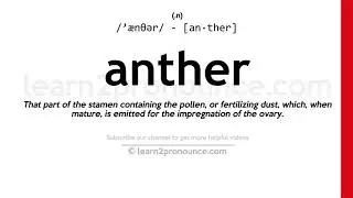 Pronunciation of Anther | Definition of Anther