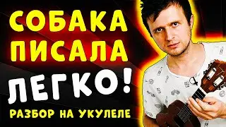 ЛЕГКАЯ ПЕСНЯ из Тик Тока на УКУЛЕЛЕ | СОБАКА ПИСАЛА