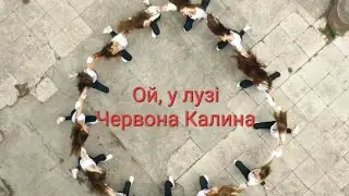 Ой, у лузі Червона Калина. Сучасна обробка патріотичного танцю! Танець про Україну