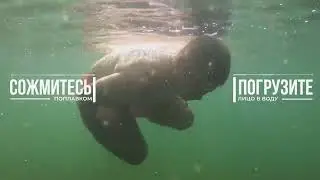Поведение на воде. Энциклопедия безопасности
