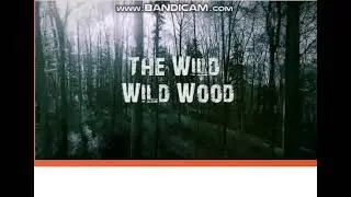 Excel 7 module 5 p62 The Wild, Wild Wood Song