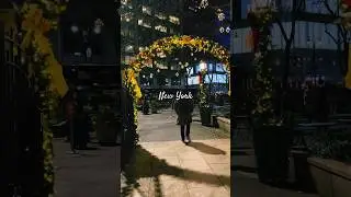 Christmas in New York 2023 🎄 🎅 ВСЕ В ОГНЯХ ЖИЗНЬ ЛЮДЕЙ В США 🇺🇸 #schorts #newyork #сша #2023