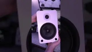 Using Desktop Speakers in 2024? 