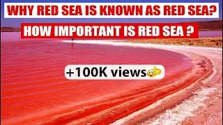 Why Red sea is known as Red sea? | How important is red Sea?