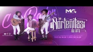 Las Norteñitas De Oro ⋆ Hermosas Chilenas LIVE 2020 ᴴᴰ