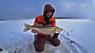 ЗИМНЯЯ РЫБАЛКА на Судака! Ловля ТРОФЕЙНОГО СУДАКА. Лучшие моменты рыбалки сезона 2023