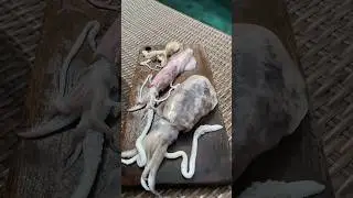 Чем отличается 